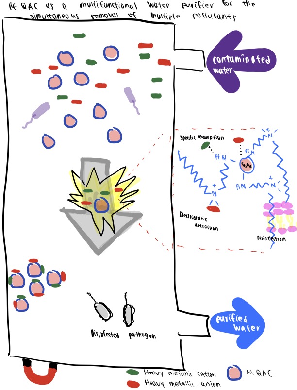 M-QACs work in contaminated water solutions to remove heavy metals and pathogens quickly and efficiently.
