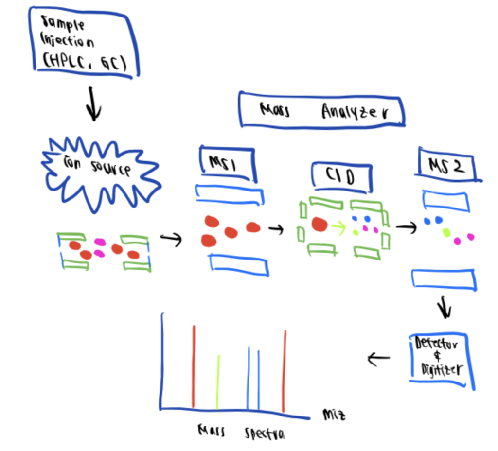 Mass spectroscopy is used to provide information on the size and structure of molecules on a two-dimensional mass spectra using a sample of the source molecule.