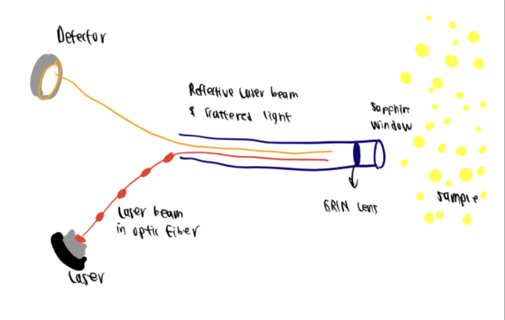Dynamic light scattering is based on the principle that smaller particles move faster than large particles.