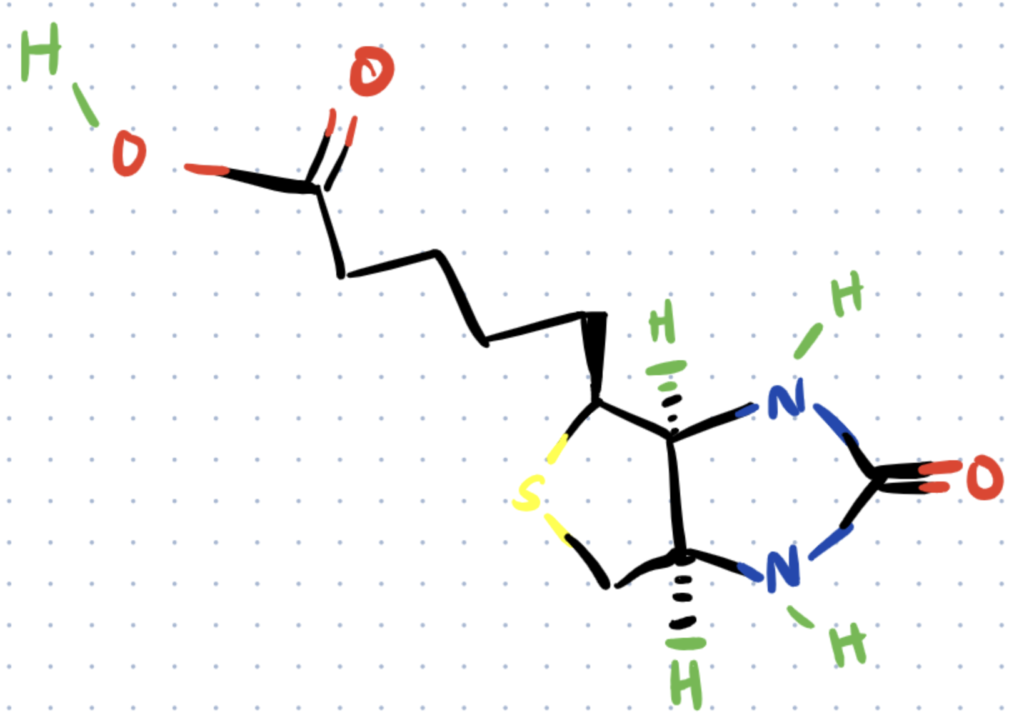 biotin structure